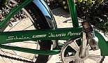 Schwinn Sting-Ray Krate ''Jalepeo Popper'' - Click to view photo 8 of 9. 