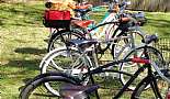 More Bicycles, Beach Cruisers, Sting-Rays, and Vintage Bikes - Click to view photo 25 of 31. Brooks Saddles... from front to rear: Brooks B66 on a 1957 Evans Colson, Brooks B72 on a 1965 Huffy Silver Jet, B190 on a 2009 Raleigh Special, B33 Honey on a 2009 Huffy Cranbrook, B33 Black on a 2012 Schwinn Del Mar, Brooks B33 Honey on a 2011 Schwinn Sanctuary, and a Brooks B135 on a 1965 Wards Hawthorne.