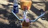 Ride through Madisonville - February 27, 2013 - Click to view photo 4 of 14. Someone found a pink carnation to match her bike.