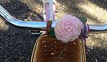 Ride through Madisonville - February 27, 2013 - Click to view photo 5 of 14. Someone found a pink carnation to match her bike.