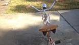 1967 Schwinn Coppertone Starlet III - Click to view photo 4 of 5. 