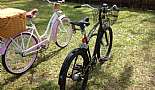 2009 Raleigh Special - Bruiser 8i - Click to view photo 8 of 23. New license plate location.