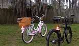 2011 Schwinn Sanctuary - Wizard of Oz Technology - Click to view photo 19 of 20. 