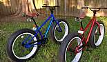 2013 Mongoose Beasts - Click to view photo 13 of 13. 