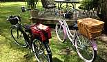 More Bicycles, Beach Cruisers, Sting-Rays, and Vintage Bikes - Click to view photo 2 of 31. 2012 Schwinn Del Mar and 2011 Schwinn Sanctuary with custom mounted hand made baskets.