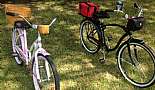 More Bicycles, Beach Cruisers, Sting-Rays, and Vintage Bikes - Click to view photo 3 of 31. 2011 Schwinn Sanctuary with custom mounted hand made baskets and 2012 Schwinn Del Mar