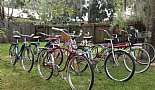More Bicycles, Beach Cruisers, Sting-Rays, and Vintage Bikes - Click to view photo 9 of 31. 