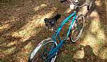 1965 Hawthorne - Click to view photo 19 of 25. 1965 Hawthorne with Hawthorne light, horn, and speedometer, Brooks B135 saddle