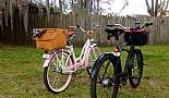 2009 Raleigh Special - Bruiser 8i - Click to view photo 15 of 23. 