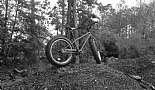 2013 Mongoose Beasts - Click to view photo 5 of 13. On top of a ground up asphalt pile... no problem.