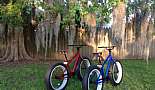 2013 Mongoose Beasts - Click to view photo 10 of 13. 