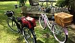 2012 Schwinn Del Mar - Click to view photo 6 of 21. 