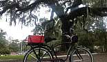 2012 Schwinn Del Mar - Click to view photo 8 of 21. 