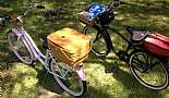 2012 Schwinn Del Mar - Click to view photo 10 of 21. 