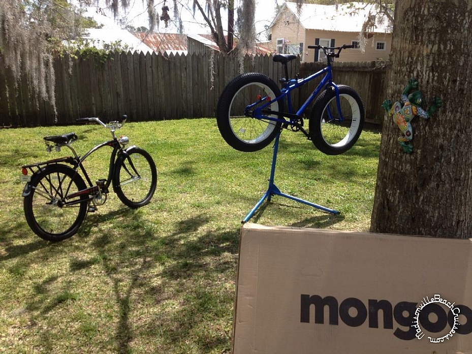 2013 Mongoose Beasts